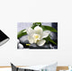 white flower with green leaf on black stones Wall Mural