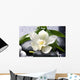 white flower with green leaf on black stones Wall Mural