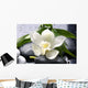 white flower with green leaf on black stones Wall Mural