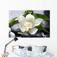 white flower with green leaf on black stones Wall Mural