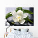 white flower with green leaf on black stones Wall Mural