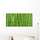 Bamboo Wall Mural
