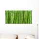 Bamboo Wall Mural