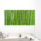 Bamboo Wall Mural