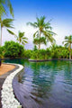 Maldives Pool Tropical Garden Wall Decal