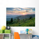 Summer Sunset Landscape on Blue Ridge Parkway Wall Mural