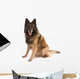 Belgian Shepherd Dog Wall Decal