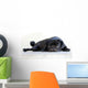Pug Wall Decal