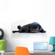 Pug Wall Decal