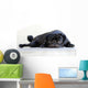Pug Wall Decal