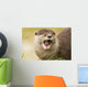 Eurasian River Otter Wall Mural