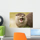 Eurasian River Otter Wall Mural