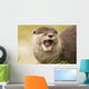 Eurasian River Otter Wall Mural