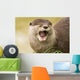 Eurasian River Otter Wall Mural
