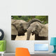 Friendly Elephants Wall Mural