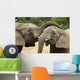 Friendly Elephants Wall Mural
