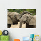 Friendly Elephants Wall Mural