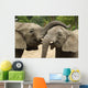 Friendly Elephants Wall Mural