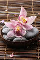Oriental spa Wall Mural