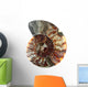 Cup Fossilized Ammonite White Background Wall Decal
