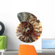 Cup Fossilized Ammonite White Background Wall Decal