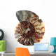 Cup Fossilized Ammonite White Background Wall Decal