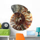 Cup Fossilized Ammonite White Background Wall Decal