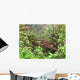 Bosque Nuboso Wall Decal