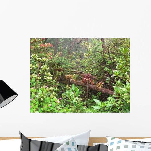 Bosque Nuboso Wall Decal