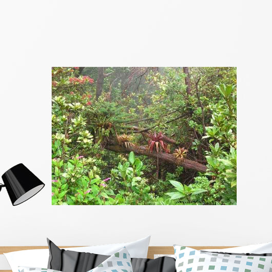 Bosque Nuboso Wall Decal