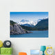 Glacier Bay National Park, Alaska Wall Mural