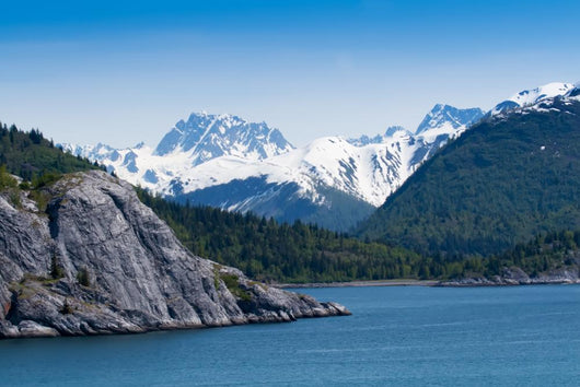 Glacier Bay National Park, Alaska Wall Mural