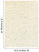 Beige plaster Wall Mural