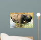 Elefant im Wasser im