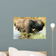 Elefant im Wasser im