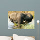 Elefant im Wasser im