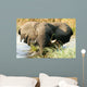 Elefant im Wasser im