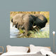 Elefant im Wasser im