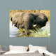 Elefant im Wasser im
