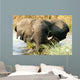 Elefant im Wasser im