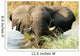 Elefant im Wasser im