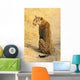 Sitzender Junger Leopard im