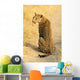 Sitzender Junger Leopard im