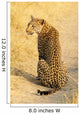 Sitzender Junger Leopard im