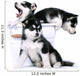 Three Siberian Husky Puppies