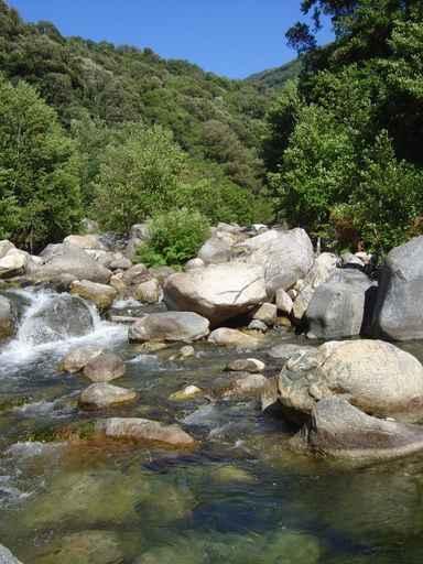 River Corsica Wall Decal