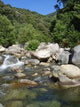 River Corsica Wall Decal