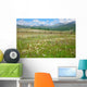 Green Summer Pasture