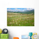 Green Summer Pasture