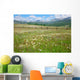 Green Summer Pasture